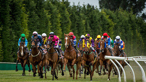 한국경마 실황, 뉴질랜드 수출