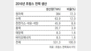 공약 지키려다 전력난 부를 판… 원전 축소 미루는 마크롱
