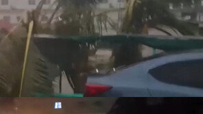 “전쟁터” ”생명의 위협 느껴”…위투 강타에 사이판 공항 폐쇄, 현지 상황 보니?