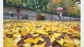 [날씨]강풍 동반한 가을비…오후 비 그친 뒤 체감온도 ‘뚝’