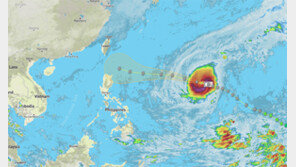 사이판 덮친 슈퍼태풍 위투, 최대풍속 290km/h…7350명 희생 하이옌과 맞먹어