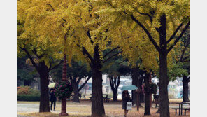 비 그치면 기온 뚝, 영하까지…다음주 내내 춥다