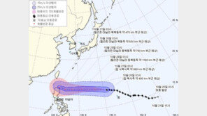 “전쟁 치른 듯” 태풍 휩쓴 사이판에 우리 국민 1500명 발 묶여…늘어날 듯