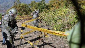 靑 “국가안보전략지침, 내달 초 2만부 배포”