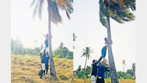 ‘정법’ 문가비, 놀라운 운동신경…新정글퀸 예약