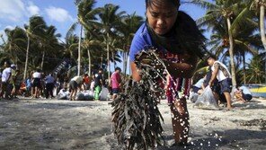 필리핀 보라카이, 6개월 폐쇄 끝 26일 재개장…엄격 규제 시행