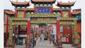 [책의 향기]차별과 배척 견디며 성장한 국내 화교의 애환