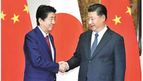 시진핑 “中日 새역사 시작”… 제3국 진출 공조-군사핫라인 개설