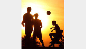 [고양이눈/사진 칼럼]젊음, 후회 없다