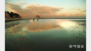 모래에 비친 하늘… 정말 우리나라야?