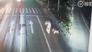 5세 아이가 장난감 자동차 타고 도로 2km 질주, 처벌은?