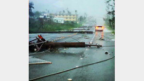 아시아나·제주항공 사이판 긴급수송 임시편 조정