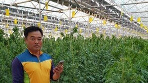 타워크레인 기사, 토마토 농장 경영으로 귀농 8년만에 ‘억대 소득’ 비결은