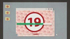 웹하드에 8개월간 음란물 23만건 올린 ‘헤비 업로더’ 구속
