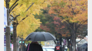 [날씨] 29일 아침 서울 4도·춘천 1도…전국 흐리고 쌀쌀