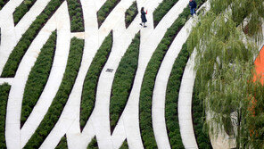 [고양이눈/사진 칼럼]선택의 기로