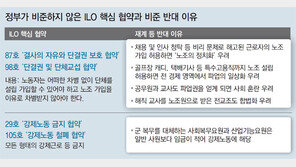“노조권 강화땐 파업 남용… 대체인력 투입도 허용해야 균형”
