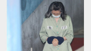 ‘미공개 정보이용’ 최은영 전 한진해운 회장 징역 1년6개월 확정