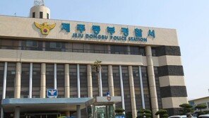 운전조작 미숙 30대女 신호대기 중인 차량에 돌진 5충 추돌사고