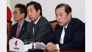 김병준 “文대통령, 웃으며 김정은 한라산 이야기할 상황이냐”