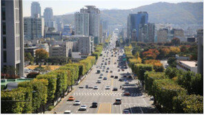 파리 상젤리제 거리처럼…서초구 가로수 ‘사각 가지치기’