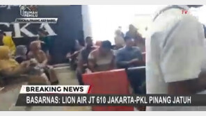 189명 탑승 인도네시아 여객기 바다에 추락…생존자 수색·구조 작업 중