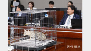 김진태 ‘벵골고양이’ 국감 소동에…김병욱, 국회법개정안 발의