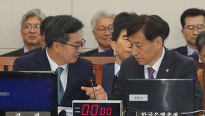 김동연 “증시패닉 아냐…증권거래세 폐지, 이론적으론 검토 가능”