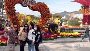 유엔평화공원 국화전시장