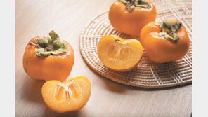 비타민C 레몬의 1.5배, 가을의 천연보약 단감