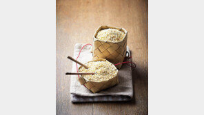 ‘자연 인슐린’ 보리… 대체 식량에서 최고의 건강식으로