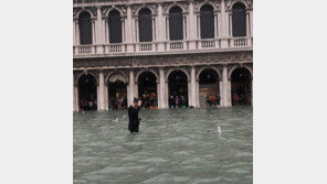 “수상도시 확인사살” 베네치아 75% 침수, 韓 관광객 SNS 보니 ‘멘붕’   