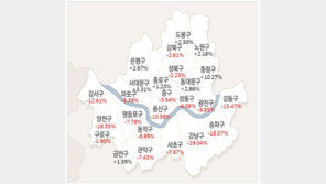 똘똘한 한채의 역설?…부동산 침체기엔 강남 집값 낙폭 더 컸다