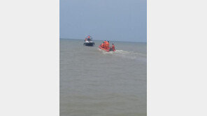 인도네시아 여객기 추락, 고위 관리 “탑승 189명 전원 사망한 듯”