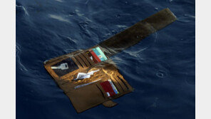 목격자들 “인니 여객기, 소리없이 추락해 굉음내며 충돌” 