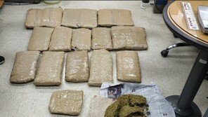 대마 18kg 여행용 가방에 숨겨 밀반입한 남아공인 구속