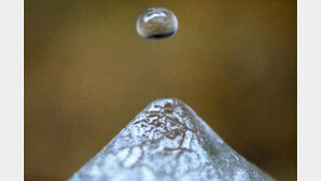 오늘 아침 서울 ‘첫 얼음’ 관측…기상청 “당분간 평년보다 3~7℃ 낮아” 