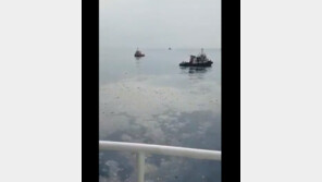 인도네시아 여객기 추락, 탑승자 가족 “결혼 앞둔 여동생, 살아 있길”