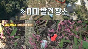 ‘시골경찰4’ 촬영 중 100평 이상 대마밭 발견…시즌 사상 초유의 사건 