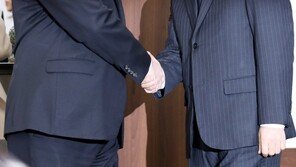 조명균-비건 美특별대표 면담 “韓美 한반도에 있어 같은 것 원해”