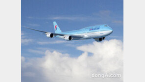 내년부터 소멸되는 항공 마일리지… 대한항공, 업계 최장 ‘10년 유효기간’ 제공