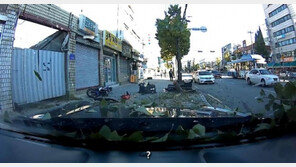 벤츠와 레이싱 머스탱 블랙박스 영상 보니… “내기 맞아” “신호 절대 안 지켜”