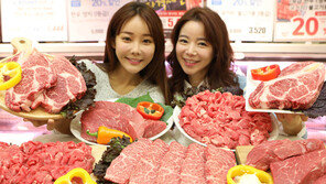 “11월1일 한우데이를 잡아라!”