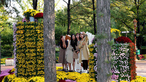 국화꽃 앞에서 ‘찰칵’