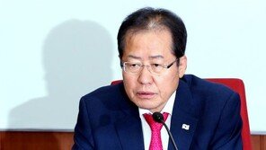 홍준표 “노무현·문재인식 대북관은 굴종으로 가는 길일 뿐”