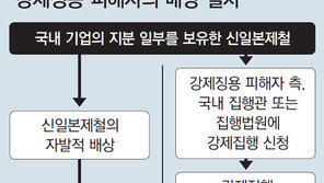 신일본제철 자발적 배상 가능성 낮아… 국내재산 있을 경우 강제집행은 가능