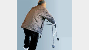 나랏돈 年5조 붓는 요양원… 운영비로 외제차 몰고 술값까지 펑펑