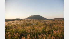 이제 제주는 장기 여행지?…1주일 이상 숙박 46% 증가