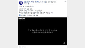 동물권단체 ‘케어’ “위디스크 양진호 회장, 동물학대로 고발 조치”