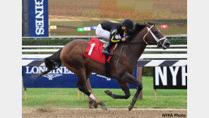 ‘미스터크로우’ 부상…브리더스컵 출전 취소